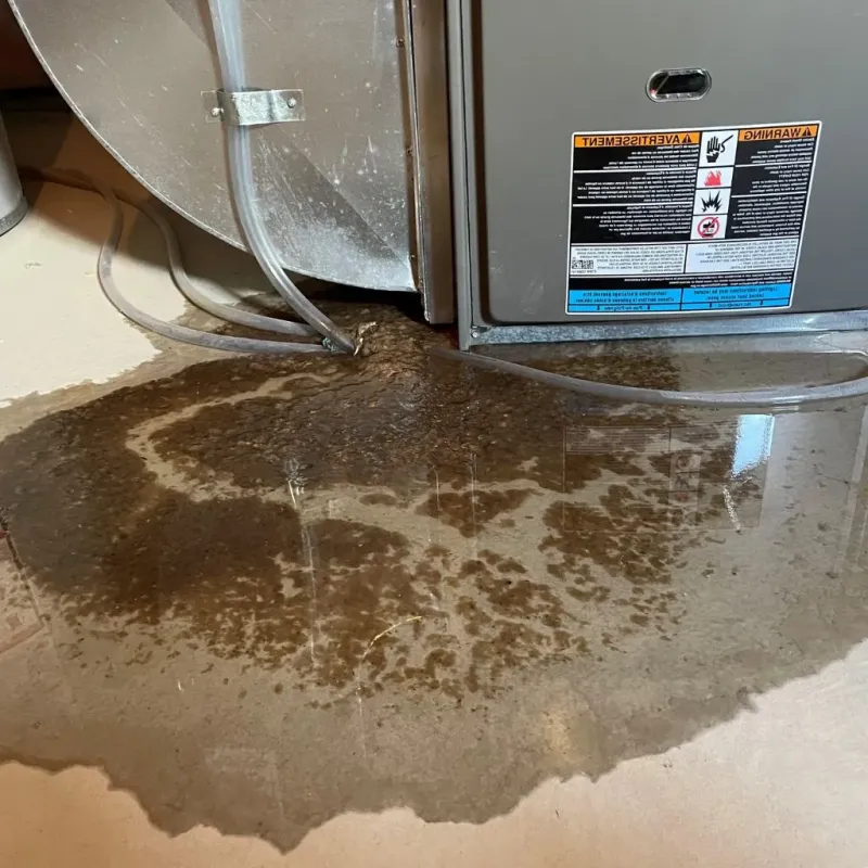 Pipe Burst and Leak Restoration in Franquez, PR